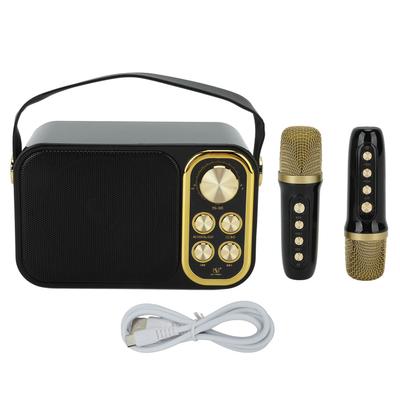 Karaoke Machine with 2 Microphones Karaoke All In One Machine Portable Bluetooth Singing Machine