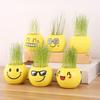 Pote de plástico fofo Mini Emoji DIY para plantio de grama em casa vaso de flores para janela de mesa