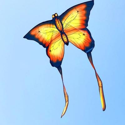 Cerf-volant Papillon Simulé Facile à Faire Voler Bon Vol Air Rebonds Cerf-volant pour Enfants Longue Queue 100 Mètres Corde de Cerf-volant Jouet Volant