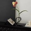Modern 3D Printed Abstract Curved Vase And Bookend Set Sleek Aesthetic For Home Office Living Room Desktop Decoration