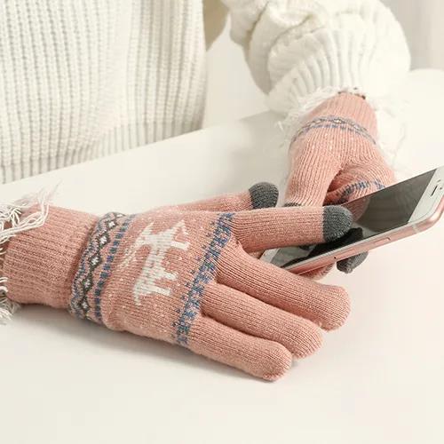Thickened Plus Velvet Touch Screen Gloves Female Winter Korean Version Knitted Printing Gloves Split Finger Wool Gloves