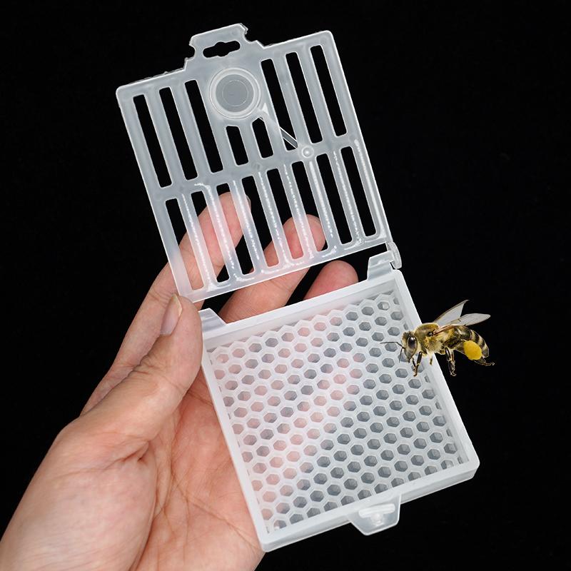 5 Stück Königinnenkäfig Bienenstock Transport Königinnenkäfige Bewegen Übertragen Postkasten Bienenköniginnen Versandbox Bienenstock Werkzeuge