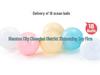 Baby Gym Rack with Ocean Ball Fence & Crawling Mat - For Newborns