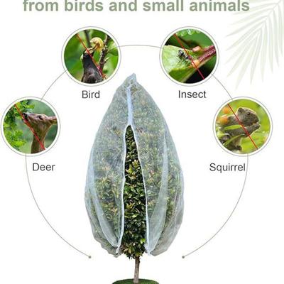 Insektensichere Mesh-Abdeckung Obstbaum-Netting-Taschen mit Reißverschluss-Kordelzug Vogelinsekt