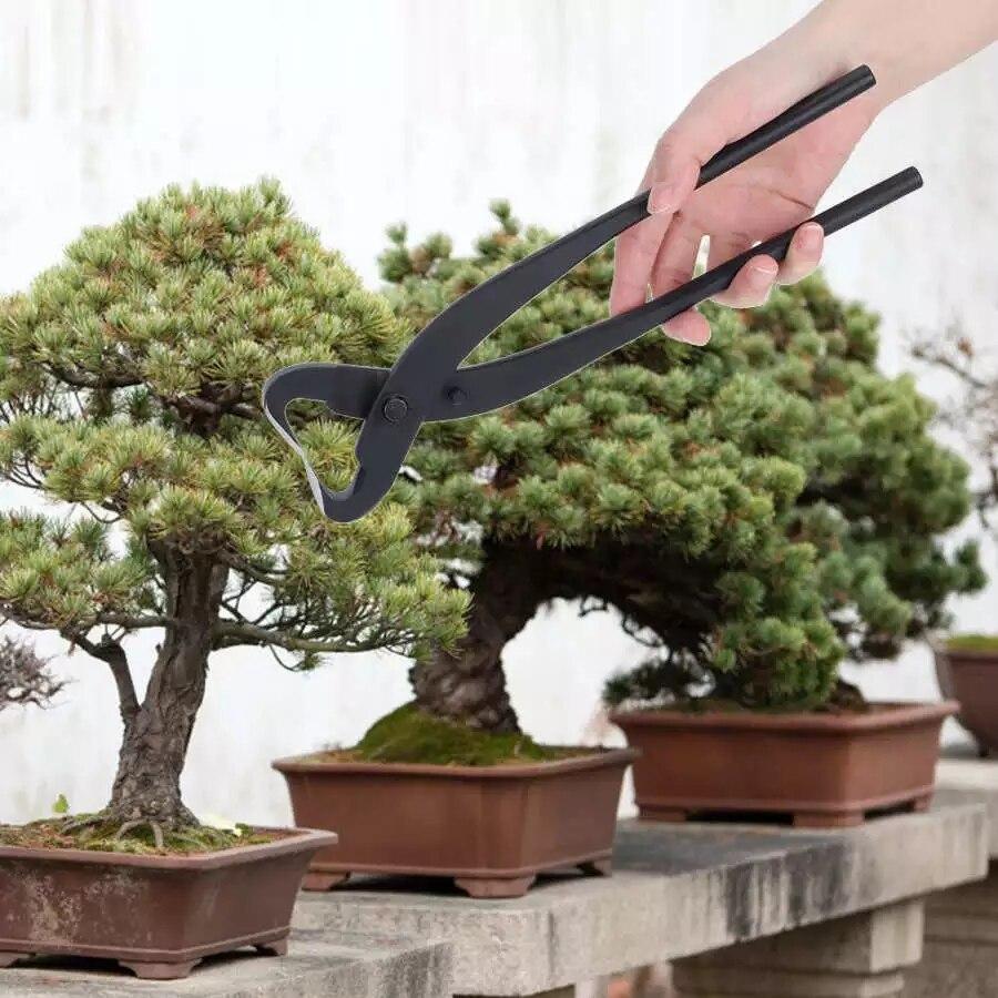 10-teiliges Bonsai-Werkzeugset, optional mit umfangreicher Cutter-Schere  fr Gartenbeschneidungswerkzeuge, Bonsai-Styling-Werkzeuge gnstig kaufen   Preis, kostenloser Versand, echte Bewertungen mit Fotos  Joom