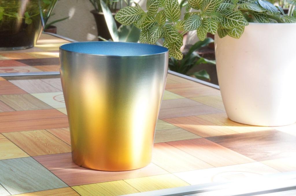 HORIE Pure Titanium Made in Niigata Aloha Double-walled Tumbler, 250cc, Tsubame, Prefecture, Sunset, T-15-AS250