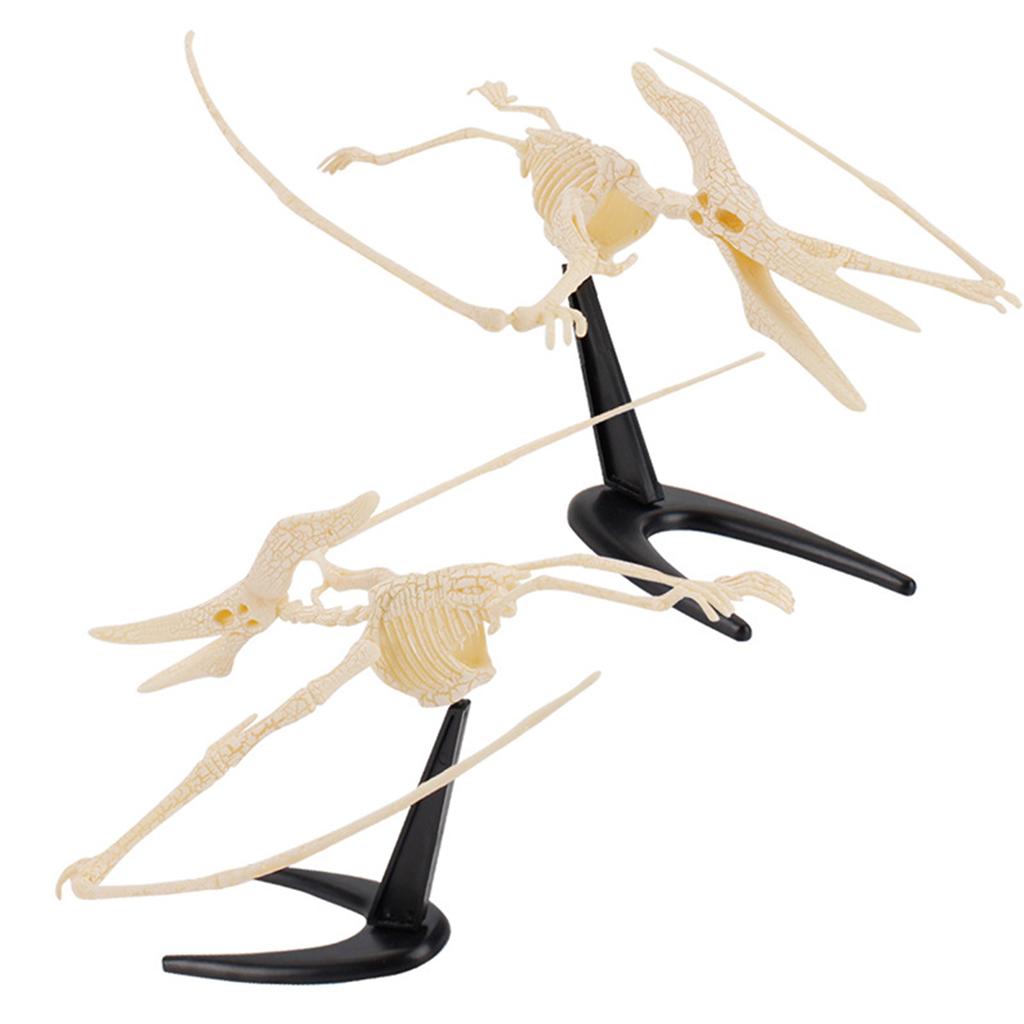 6 Stück/Set Dinosaurierskelett 3D-Puzzle-Modell Verschiedene Figuren DIY-Montage Simulation Dino Mammutknochen Dekorationsspielzeug