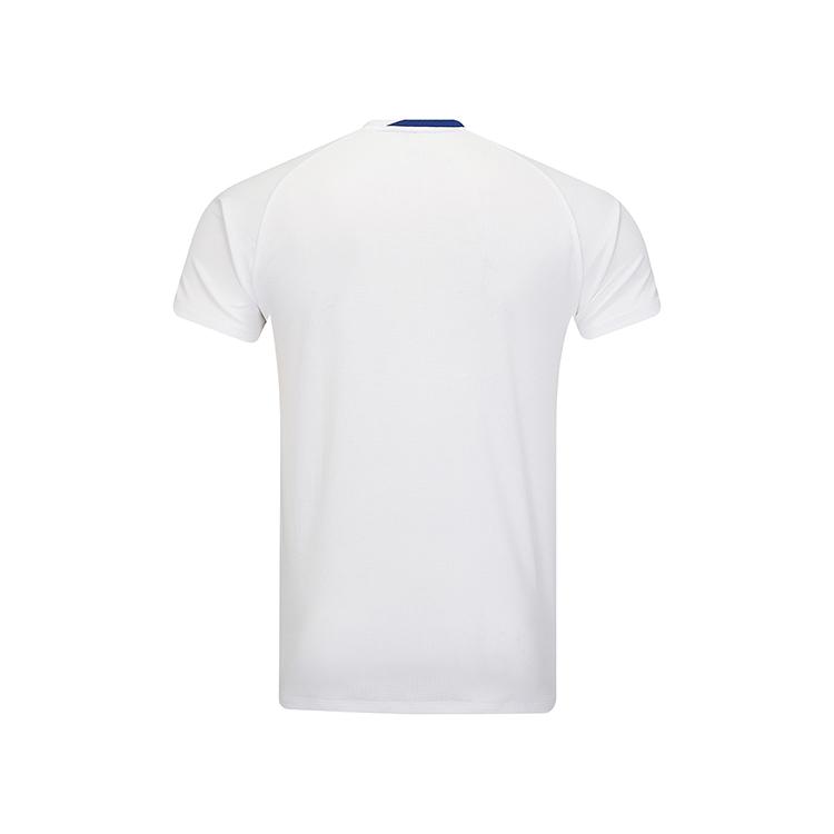 Li Ning Badminton Series Quick-Dry Cool Striped Color-Block Competition Short Sleeve T-Shirt Unisex Tops White AAYV033-2