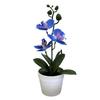 Compact Design Fake Flower Plant Phalaenopsis Bonsai Easy To Style