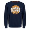 Jack & Jones Bloomer свитшот