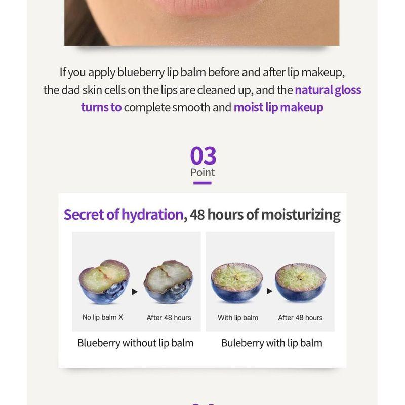 Frudia Blaubeer Feuchtigkeitsspendender Honig Lippenbalsam