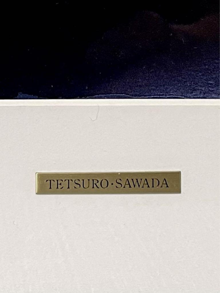 [USED] Tetsuro Sawada, Framed Art Collection, Frame Size 41 x 31 cm