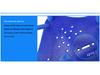 Adult and Youth Swimming Hand Paddles - Training Equipment for Men and Women