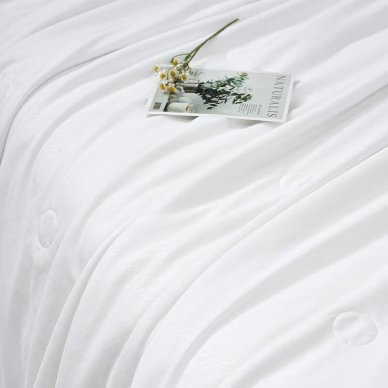 FUANNA Shuyan Antibacterial Silk Summer Quilt