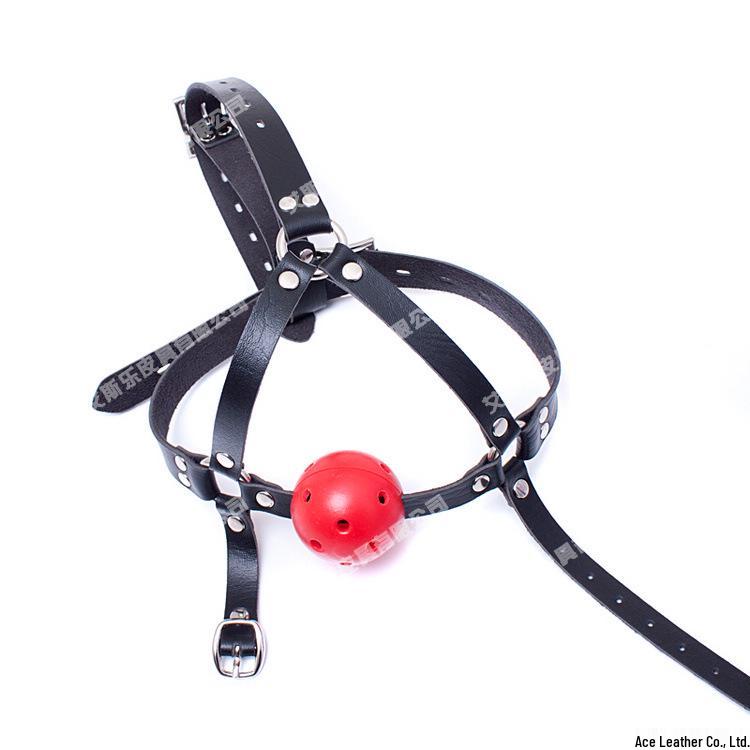 Ice Adult Red Ball Gag: Erotic Mesh Mouth Plug and Training Restraint