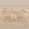 Golden Hoop Earrings Bohemian Style Alloy Earrings Exquisite Gift Women'S Daily Casual Earrings