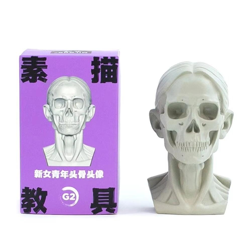 Still Life Ornament Planar Head Model Resin Skecthing Painting Sculpture  for Art Beginner