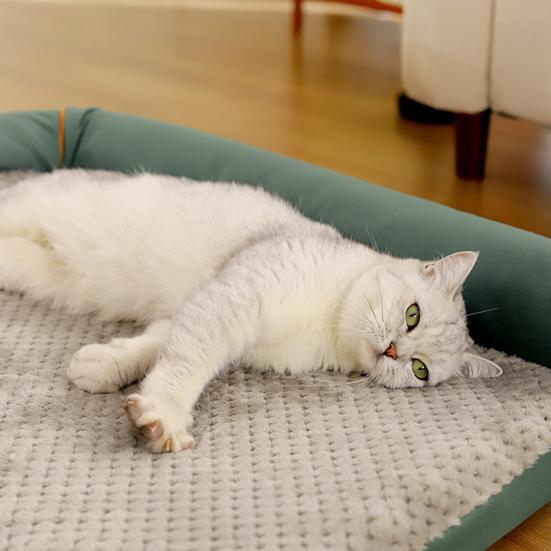 Orthopedic Dog Bed Fluffy Cat Bed with Neck Bolsters Non-Slip Bottom Thermal Plush Pet Couch Bed with Removable Washable Cover for Cats And Dogs