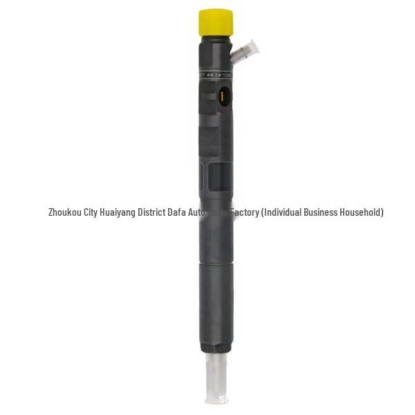 Delphi EJBR02701Z Injector: Compatible with Renault Delphi Common Rail Systems.