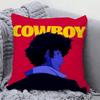 Animation C-Cowboy B-Bebop Spike Kissenbezug Quadratisches Kissen Schlafzimmer Sofa Freizeit Komfort Kissen Wohnzimmer Heimdekoration 40X40