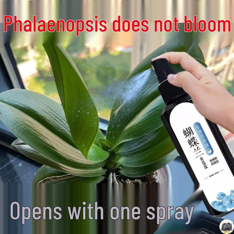 Phalaenopsis Burst: Orchid-Specific Nutrient for Spike Blooming & Yellow Leaf Prevention - Universal Organic Fertilizer