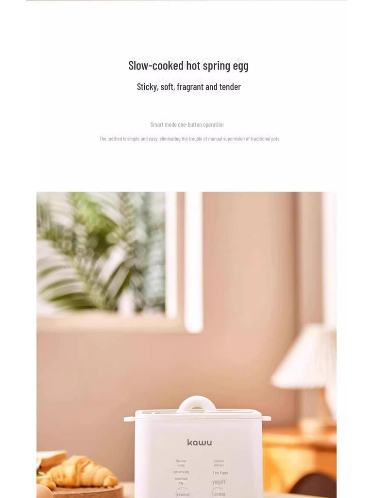 Automatic Japanese-Style Egg Steamer with Timer for Hot Spring and Candied Eggs