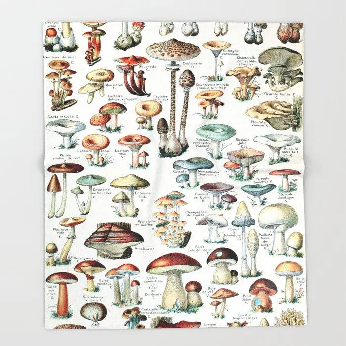 Adolphe Millot Fleurs Pour Tous French Vintage Poster Throw Blanket  Warm Microfiber Blanket Flannel Blanket