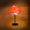 Feather table lamp bedroom bedside lamp high-end sense