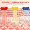 Red Light Therapy for Face, Near-lnfrared 850 LED Face Mask Light Therapy 3 Modes Portable Led Face Mask Light Therapy with Rechargeable Remote, Red