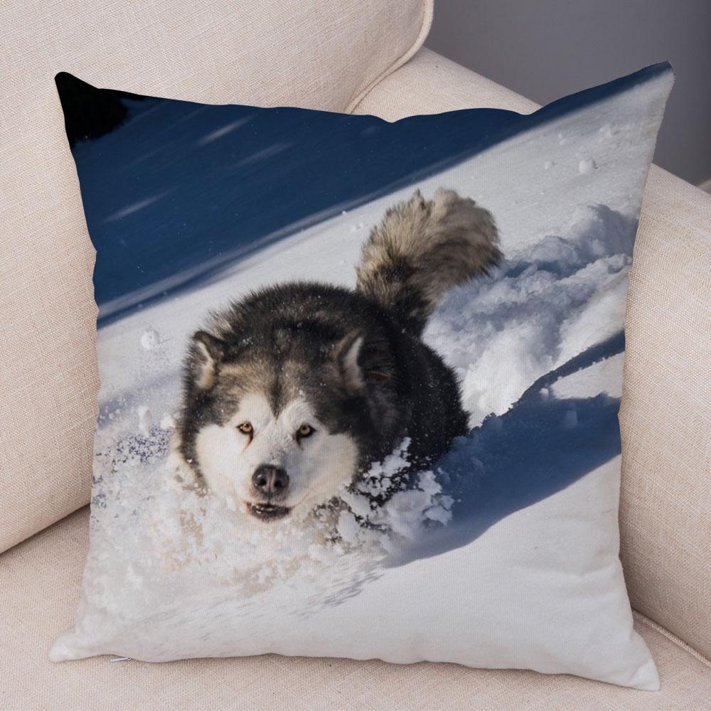 Decor Cute Siberian Husky Pillowcase Pet Dog Printed Super Soft Short Plush Pillow Case 45*45cm Animal Cushion Cover for Sofa