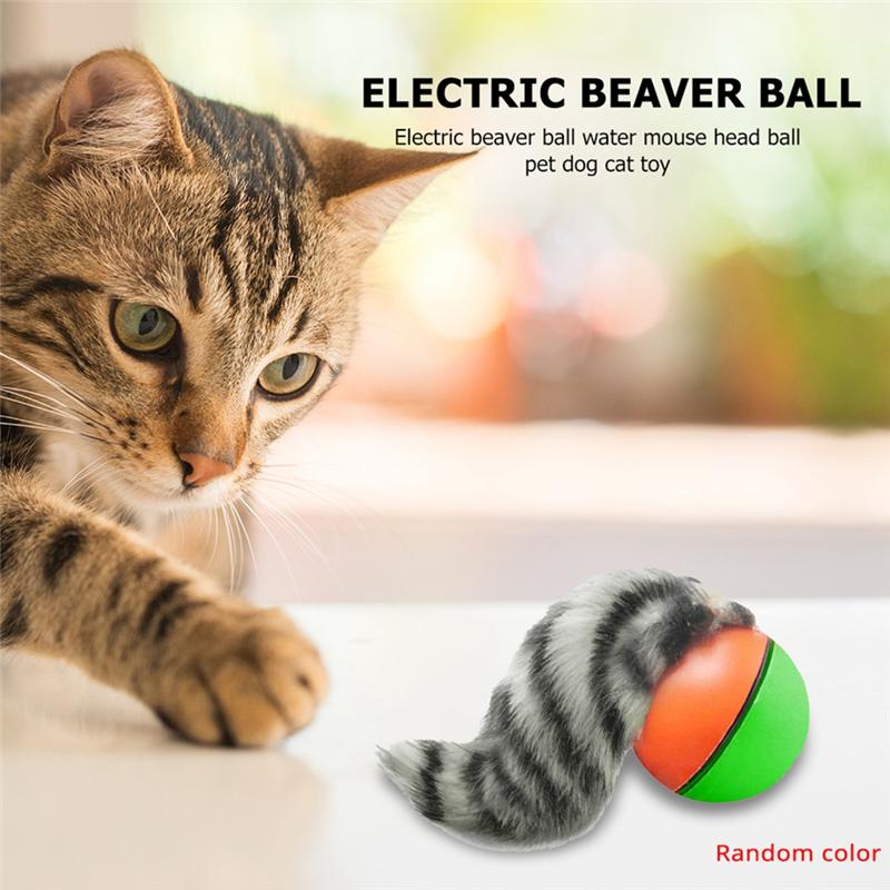 M-Modern-Electric Beaver Ferret Rolling Ball For Dog And Cat Interaction, Pet Chasing , Agility Training Supplies