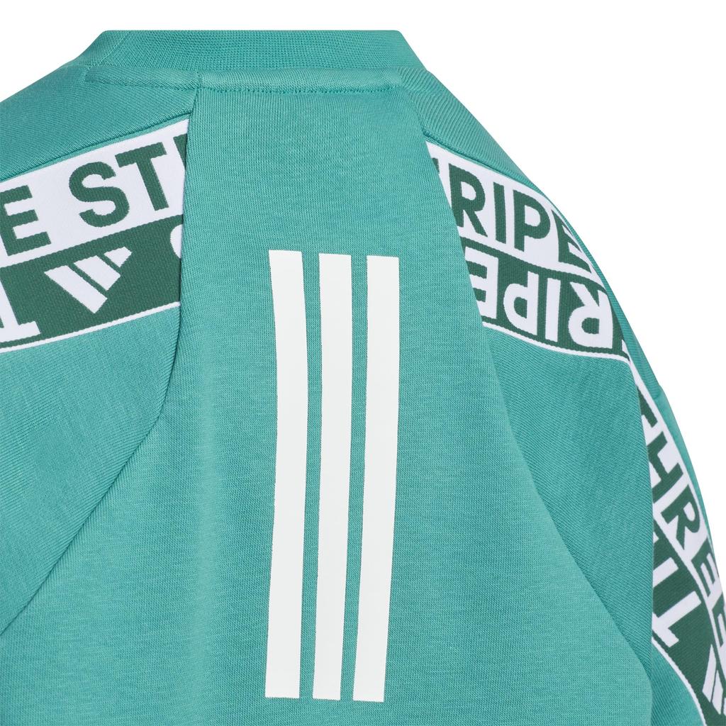 Adidas Word Crew Sweatshirt VM704 Pure Teal Kids' (KA3777)