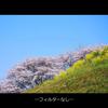 Marumi PL Filter 72mm DHG Circular P.L.D (Contrast Enhancement, Anti-Reflection) - Made In Japan