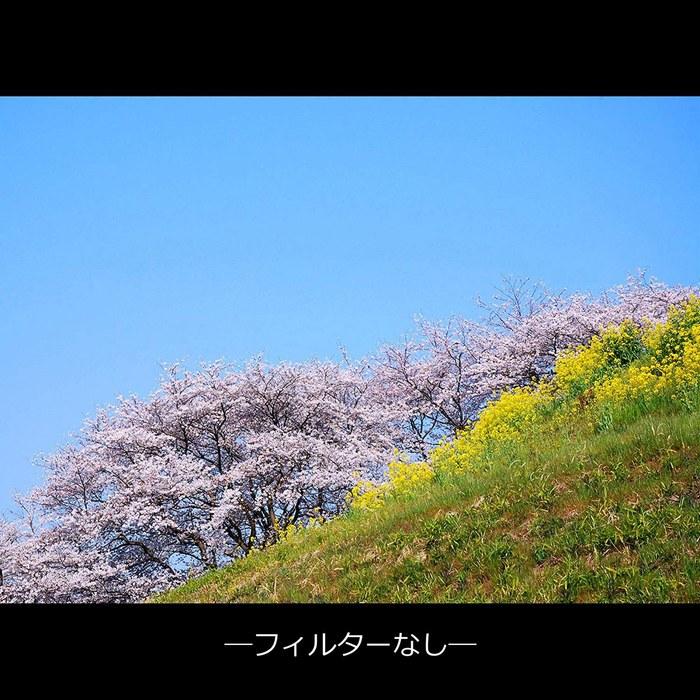 Marumi PL Filter 72mm DHG Circular P.L.D (Contrast Enhancement, Anti-Reflection) - Made In Japan