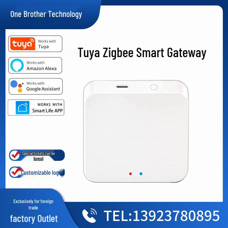 Graffiti Zigbee Wireless Bluetooth Smart Gateway with Voice Control, Alexa & Google Home Compatible
