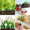 Globos de Rega Pequenos com 12 Unidades, Globos de Rega para Plantas
