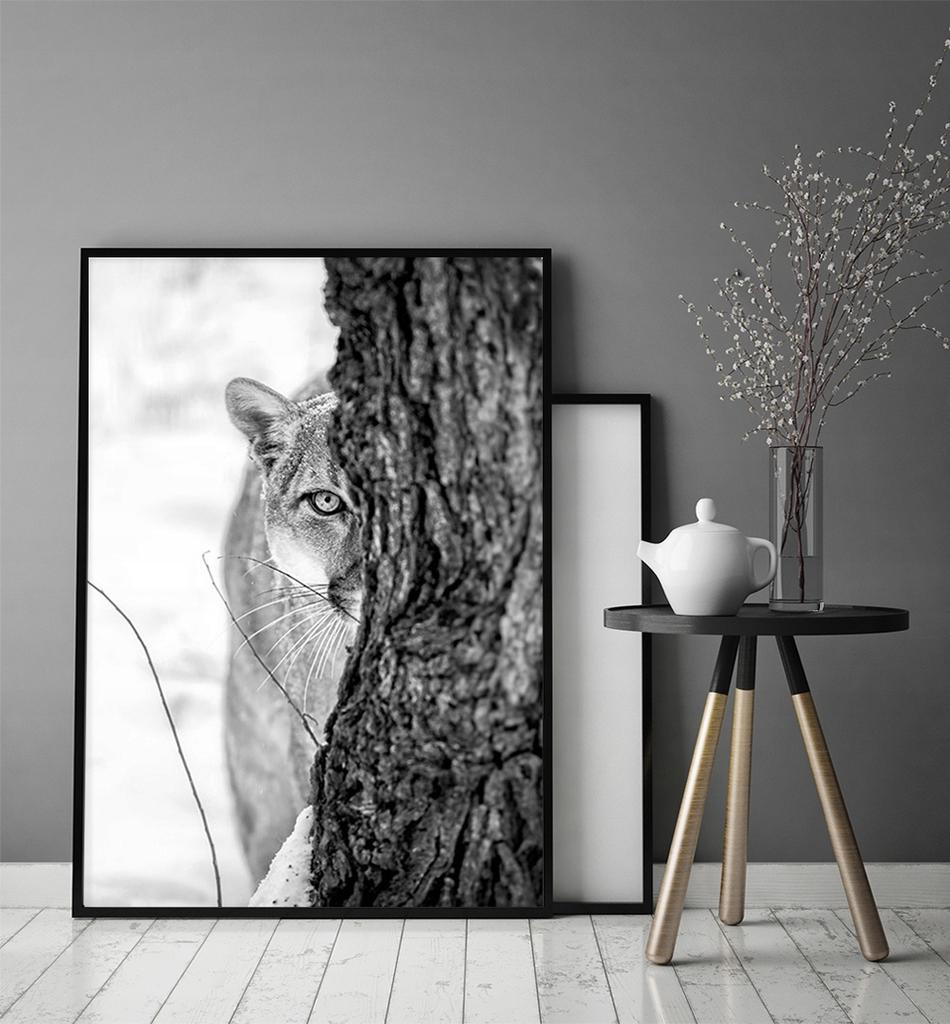 Picture poster In a frame 43x33 cm Panther P1149