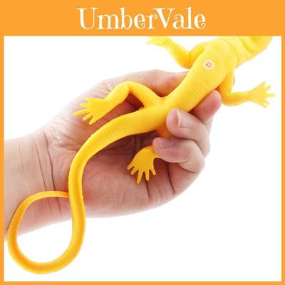 Kollektsioneerimine ja mudelid – Mudel