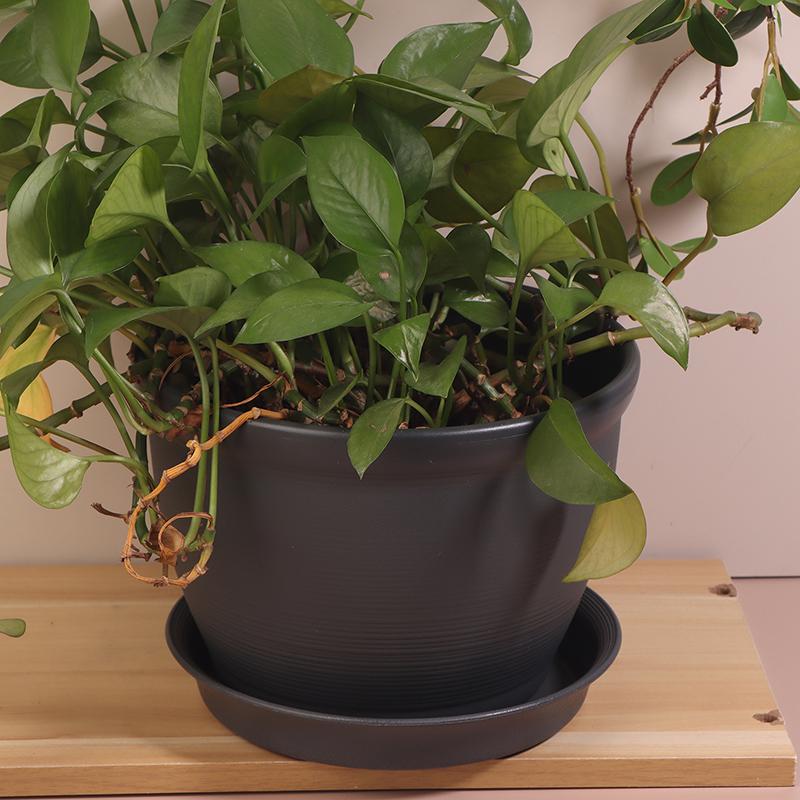 1 pièce avec soucoupe Pot de fleurs rond épais imitation céramique en PP Pot de fleurs Plantation intérieure Salon Balcon Pot pour bonsaï