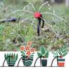20/40/80/100/200Pcs Adjustable Irrigation Drippers Sprinklers 1/4'' Emitter Dripper Drip Micro Spray Rotating Nozzle for Watering System