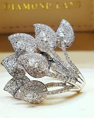 Kreativer Blatt Zirkon Ring: Europäischer & Amerikanischer Modeschmuck Mikro-Pavé Verlobungs-Bankettring