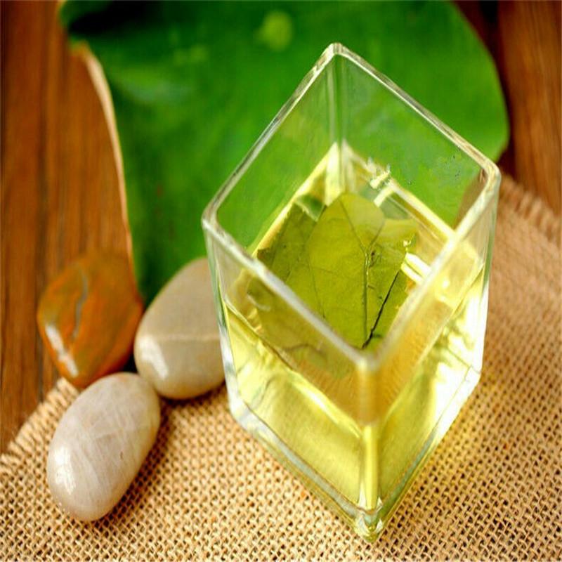 Traditional Tea Lotus Leaf Green Tea Herbal Tea