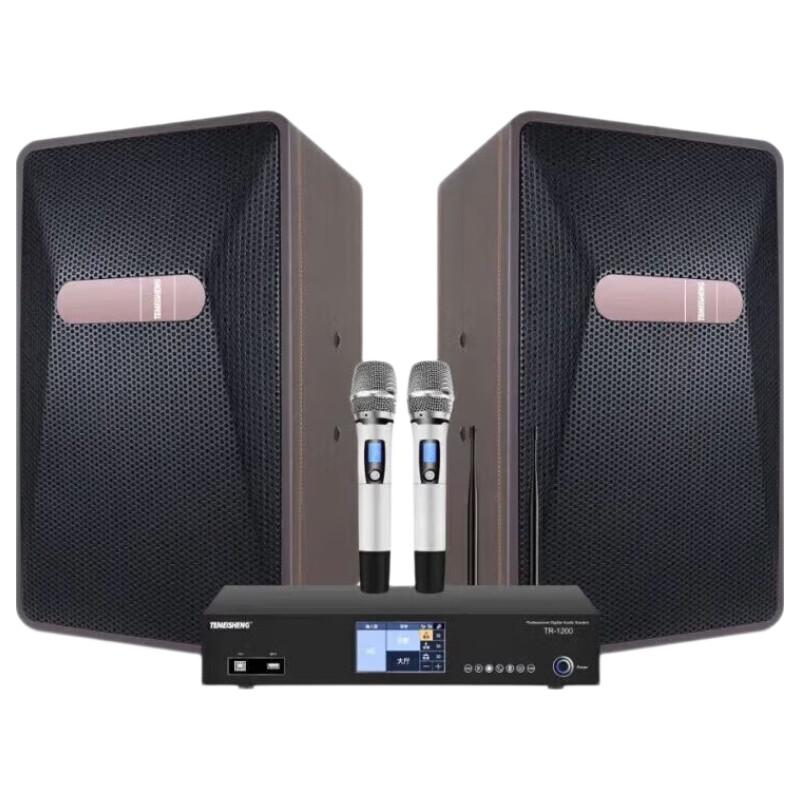 TEMEISHENG DK-60 Home KTV Karaoke Audio System CN plug (adapter included)
