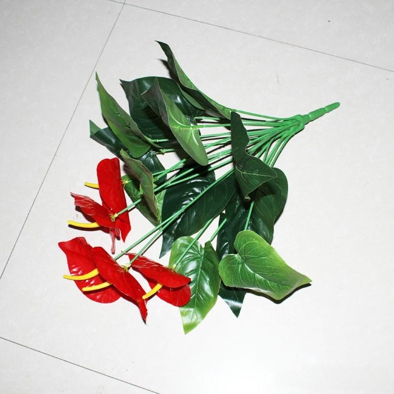 

Anthurium Linden Andraeanum Green Plant For Desktop Decort Ornament