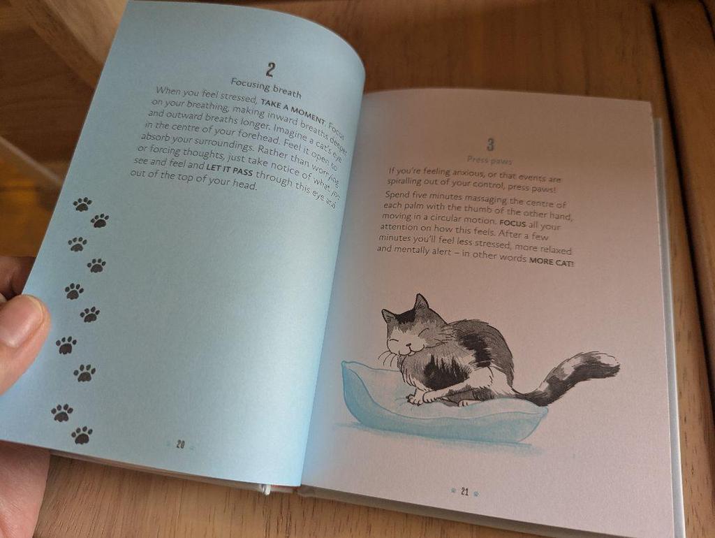 [USED] A small book on cat philosophy that cat lovers will want to keep as a talisman: Be More Cat