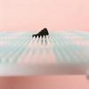 Gifts Draw lines Perlrer Beads Baking Board DIY Toy Accessories 2.6mm Perlrer Beads Template Handmade Bean Board