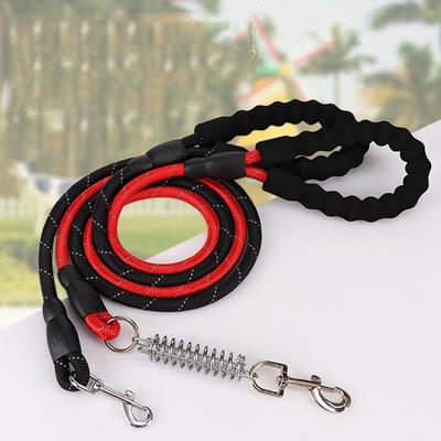 Köpek – Köpek Tasmaları ve Tasma Kayışları