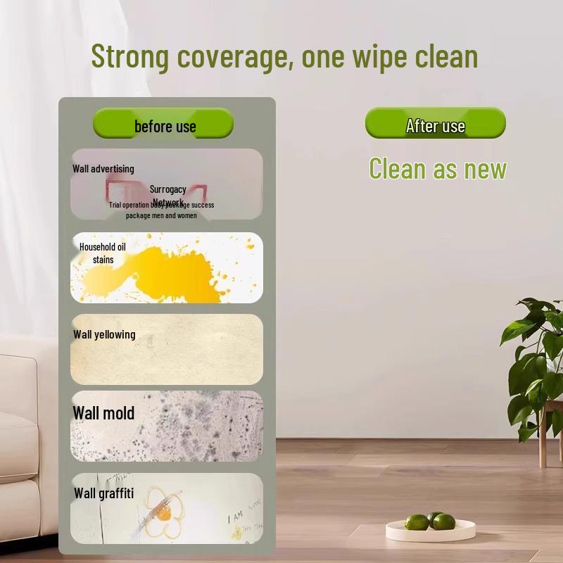 Wall Repair and Paint Kit: Cover Graffiti, Stains; Renovate and Color Change with Roller Brush