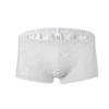 Men's Sexy Lace Boxer Briefs - High-End, Comfortable, Breathable, Large Pouch, Summer Trendy C504.