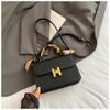 Fashion Popular Bag Women's 2026 New Bag Niche Texture Handbag Chain Single Shoulder Messenger Women's Bag